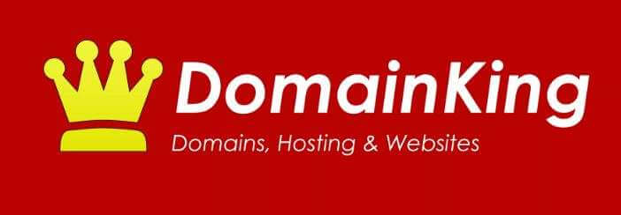 DomainKing Logo